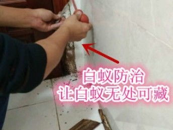 深圳專業(yè)保潔與除蟲服務(wù) 工廠、商店、展廳的全方位清潔解決方案